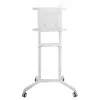 Vivolink VLFS3770 Uchwyt/stojak pod telewizor 177,8 cm (70 cali) Biały