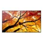 Panel płaski do digital signage NEC MultiSync M862 — 86 cali (2,18 m) LCD, 4K UHD 3840×2160, 550 cd/m², 24/7, Czarny