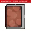 Displex TABLET PRIVACY SAFE zdejmowany dwukierunkowy filtr prywatyzujący do iPad Pro 13 cali/Air 13 cali (2024/2025)