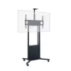Hagor HP Twin Lift M-B 2,18 m Czarny Maksymalny udźwig 120 kg