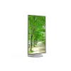 Sharp MultiSync EA272Q monitor komputerowy 68,6 cm (27 cali) 2560 x 1440 pikseli 4K Ultra HD LCD biały