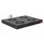 Equip Wentylatory chłodzące 19', 1U, 4 WENTYLATORY, RAL9005 Czarny