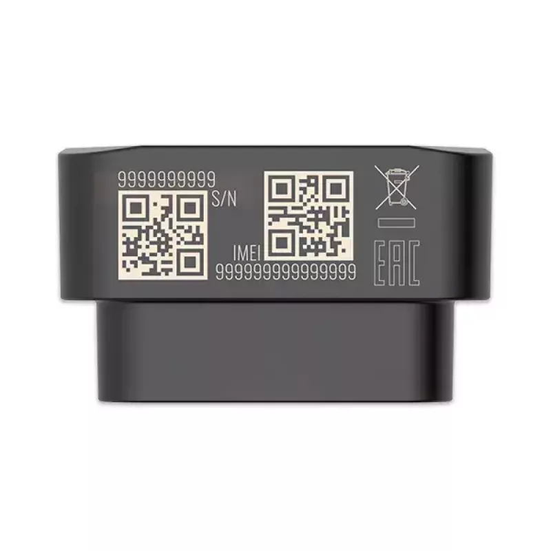 Lokalizator GPS Teltonika FMB020 Samochodowy Czarny Odporny na kurz 0,128 GB