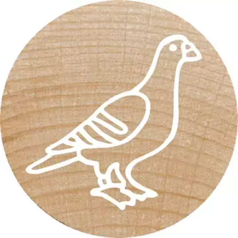 Stempel Colop 165224 Okrągły Guma Drewno 3 cm