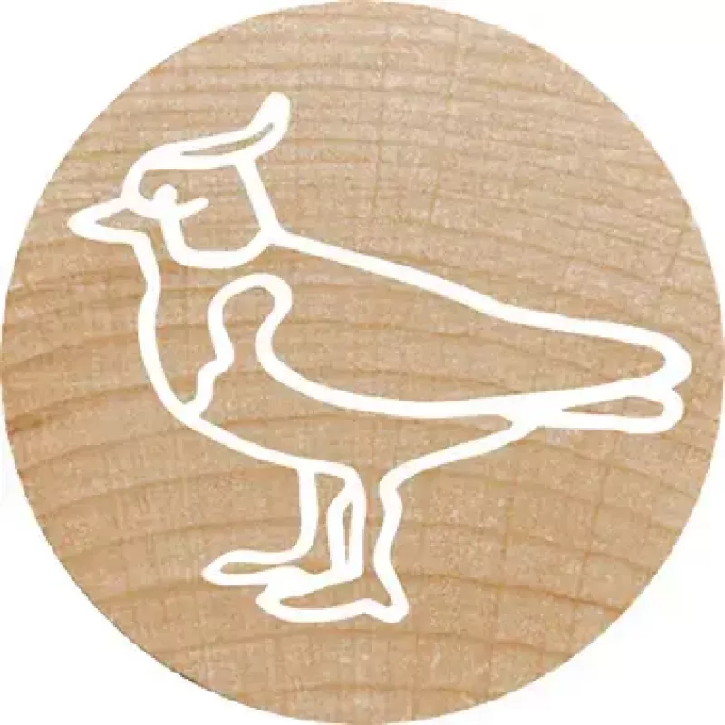 Stempel Colop 165224 Okrągły Guma Drewno 3 cm