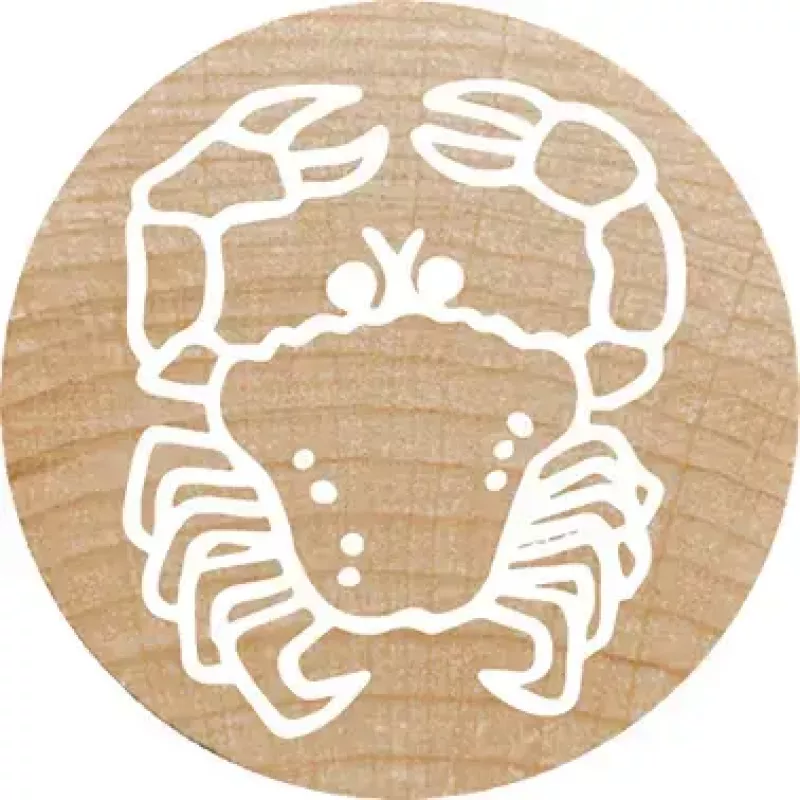 Stempel Colop 165224 Okrągły Guma Drewno 3 cm