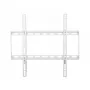 Techly ICA-PLB-162MW uchwyt/stoak TV 139,7 cm (55 cali) biały