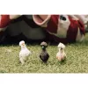 Figurki zabawkowe Schleich FARM WORLD Kurze przyjaciółki Wielokolorowy 42574