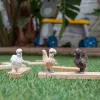 Figurki zabawkowe Schleich FARM WORLD Kurze przyjaciółki Wielokolorowy 42574