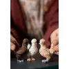 Figurki zabawkowe Schleich FARM WORLD Kurze przyjaciółki Wielokolorowy 42574