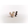Figurki zabawkowe Schleich FARM WORLD Kurze przyjaciółki Wielokolorowy 42574