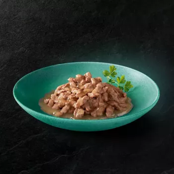 Mokra karma dla kociąt Sheba Kitten Selection of Flavors in Sauce 40×85 g — mokra karma dla młodych kociąt, 40 saszetek x 85 g, 3,4 kg, głównie o smaku kurczaka