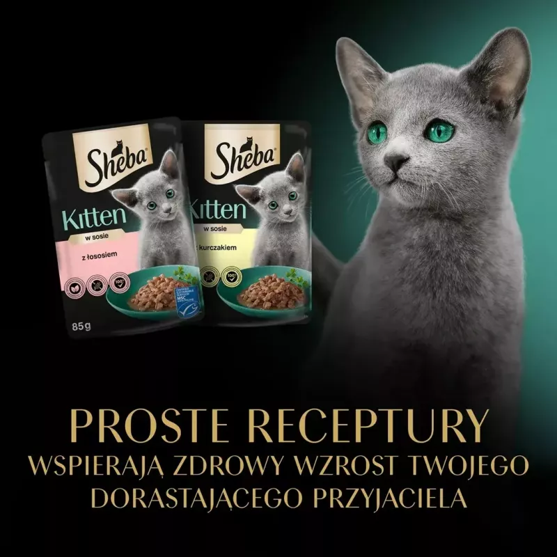 Sheba Kitten Selection of Flavors mokra karma dla kotów w sosie, 40 x 85 g