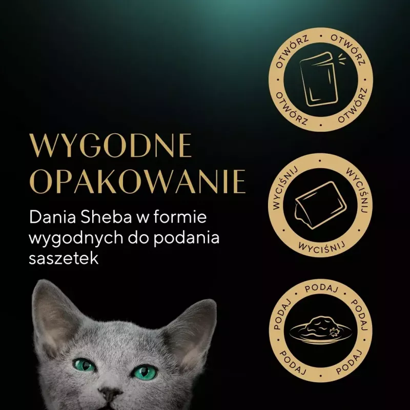 Sheba Kitten Selection of Flavors mokra karma dla kotów w sosie, 40 x 85 g