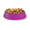Sucha karma dla kota Whiskas kurczak dla dorosłych kotów 14 kg — białko 30%, tłuszcz 12%, włókno 2%