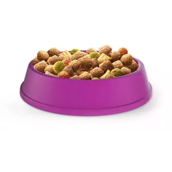 Sucha karma dla kota Whiskas kurczak dla dorosłych kotów 14 kg — białko 30%, tłuszcz 12%, włókno 2%