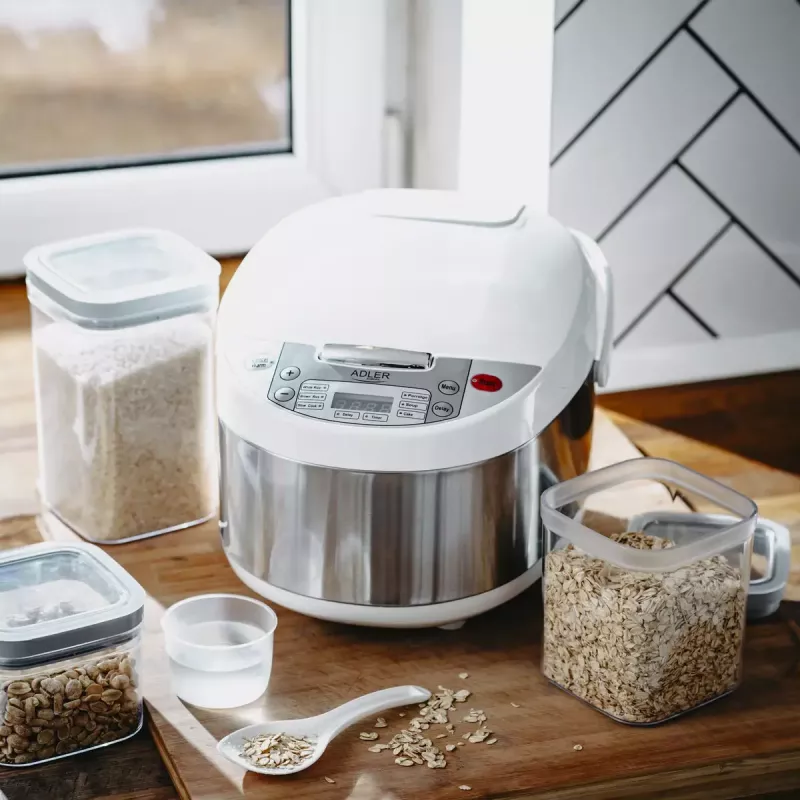 Multicooker Adler AD 6420 — 700 W, pojemność 3,25 L, 6 programowalnych programów, wyświetlacz LED