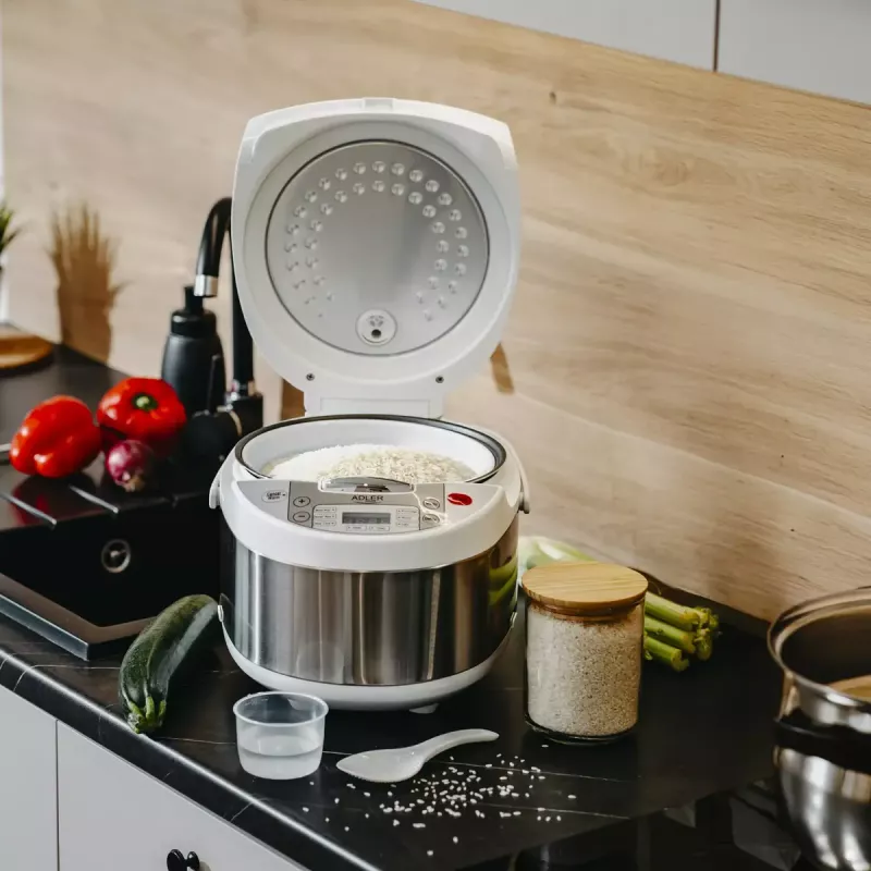 Multicooker Adler AD 6420 — 700 W, pojemność 3,25 L, 6 programowalnych programów, wyświetlacz LED