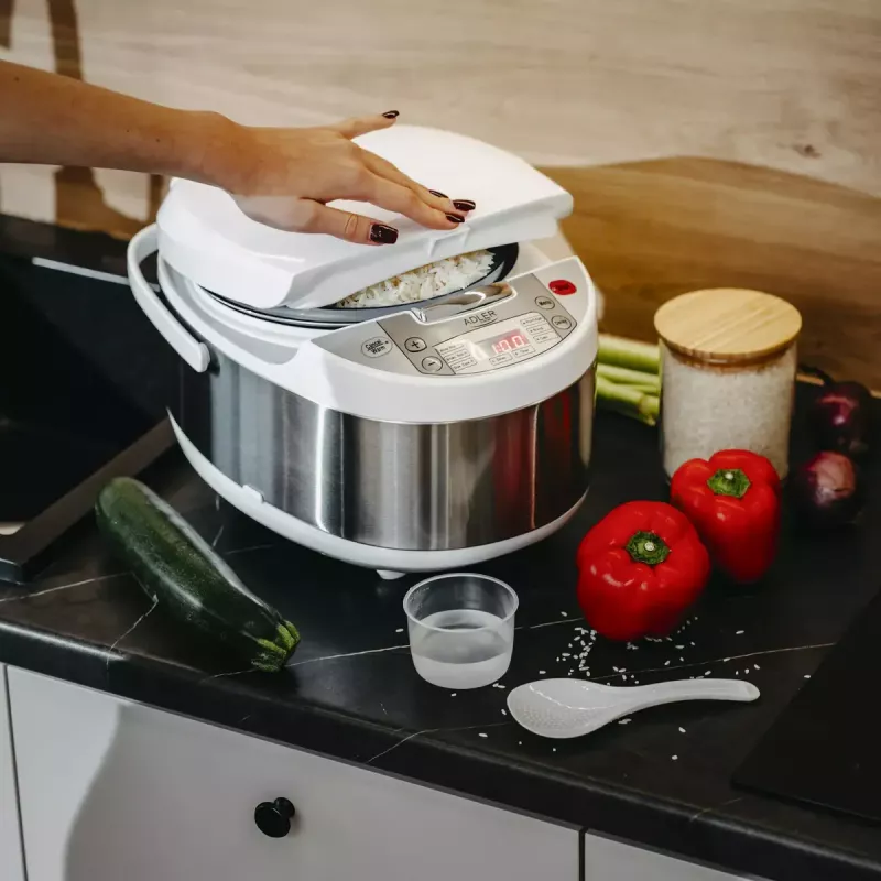Multicooker Adler AD 6420 — 700 W, pojemność 3,25 L, 6 programowalnych programów, wyświetlacz LED