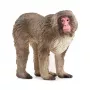 Figurka Schleich WILD LIFE Makak Japoński Beż Brąz Róż 14871
