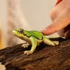 schleich WILD LIFE Europejska żaba drzewna, od 3 lat, Las, Dzikie zwierzęta / zabawki przygodowe, Wielokolorowy