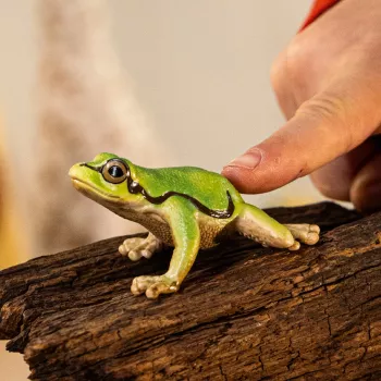 schleich WILD LIFE Europejska żaba drzewna, od 3 lat, Las, Dzikie zwierzęta / zabawki przygodowe, Wielokolorowy