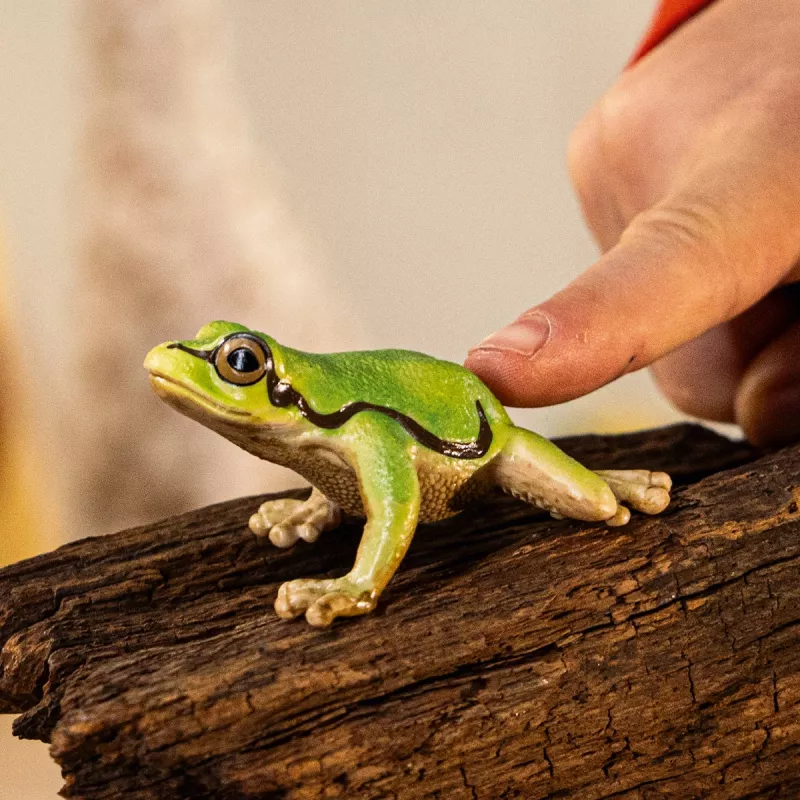 schleich WILD LIFE Europejska żaba drzewna, od 3 lat, Las, Dzikie zwierzęta / zabawki przygodowe, Wielokolorowy