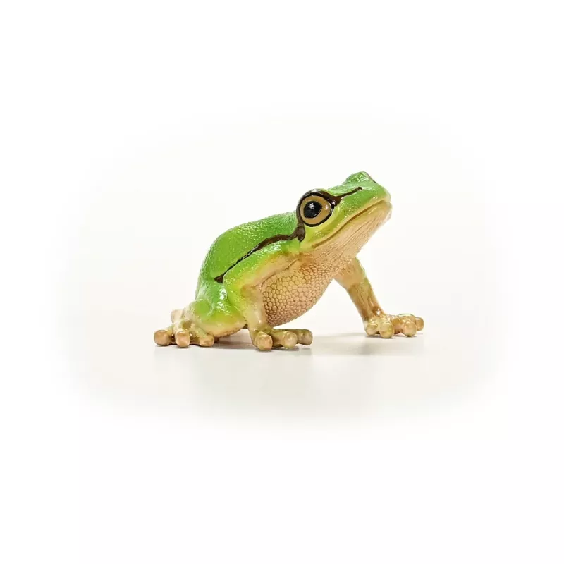 schleich WILD LIFE Europejska żaba drzewna, od 3 lat, Las, Dzikie zwierzęta / zabawki przygodowe, Wielokolorowy