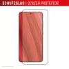 Displex Full Cover Screen Protector (10H) do Samsung Galaxy S24+/S25+, Eco Mounting Frame, Full Cover