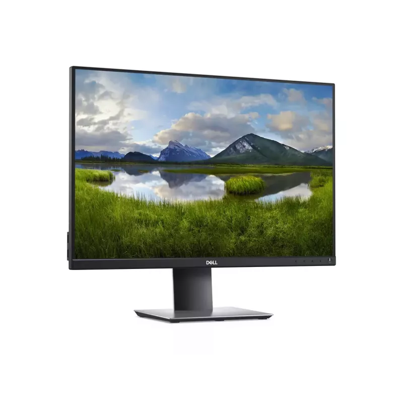 Monitor komputerowy DELL P Series P2421 61,2 cm (24,1 cala) 1920 x 1200 pikseli WUXGA LCD Czarny