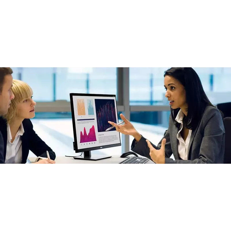 Monitor komputerowy DELL P Series P2421 61,2 cm (24,1 cala) 1920 x 1200 pikseli WUXGA LCD Czarny