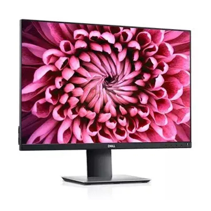 Monitor komputerowy DELL P Series P2421 61,2 cm (24,1 cala) 1920 x 1200 pikseli WUXGA LCD Czarny