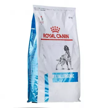 Sucha karma dla psa Royal Canin Anallergenic 8 kg — hipoalergiczna formuła dla dorosłych psów z drobiem, bezglutenowa, bez laktozy