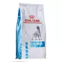 Sucha karma dla psa Royal Canin Anallergenic 8 kg — hipoalergiczna formuła dla dorosłych psów z drobiem, bezglutenowa, bez laktozy