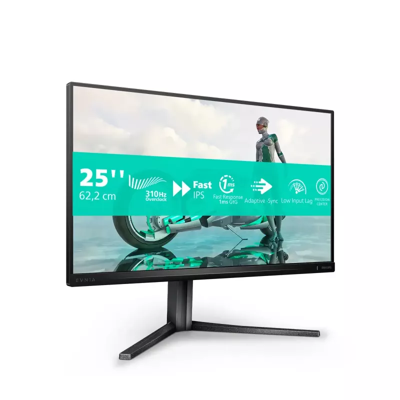 Philips Evnia 3000 25M2N3200U/00 monitor komputerowy 62,2 cm (24,5 cala) 1920 x 1080 pikseli Full HD LCD Szary