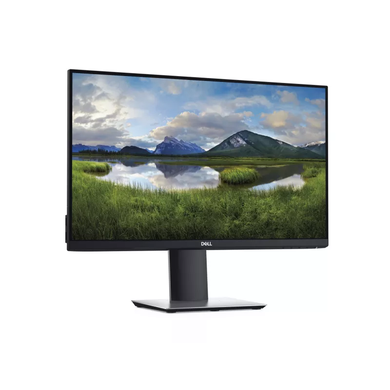 Monitor komputerowy DELL P2419H 61 cm (24 cale) 1920 x 1080 pikseli Full HD LCD Czarny