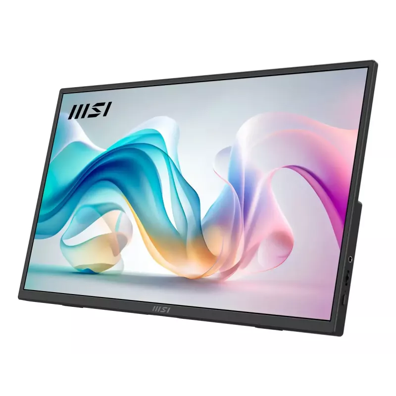 Monitor przenośny MSI PRO MP165DE E6 15.6 cala Full HD IPS 1920×1080 USB-C HDMI VESA Czarny