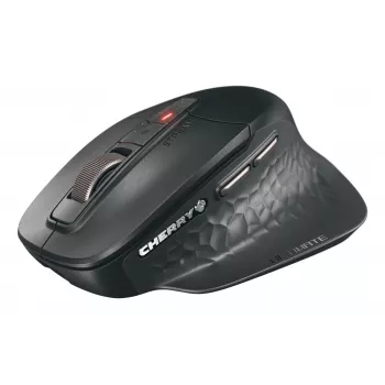 CHERRY Stream ultimate mysz Uniwersalna Praworęczna RF Wireless + Bluetooth + USB Type-C 4000 DPI