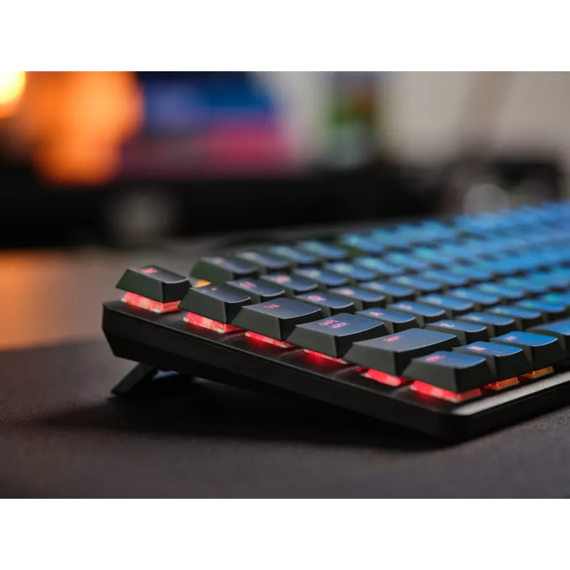 Klawiatura gamingowa mechaniczna TRUST GXT 866 TORIX USB pełnowymiarowa 104-klawisze QWERTY czarna RGB