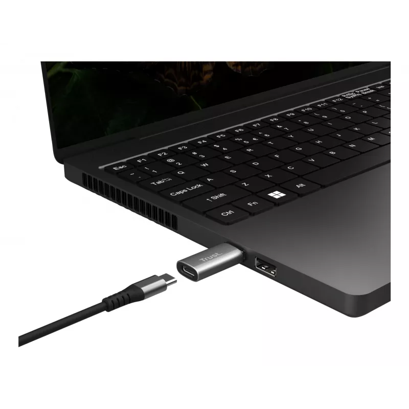 Trust Calyx USB Type-C USB Type-A Szary Złącze 1 USB Type-C Złącze 2 USB Type-A
