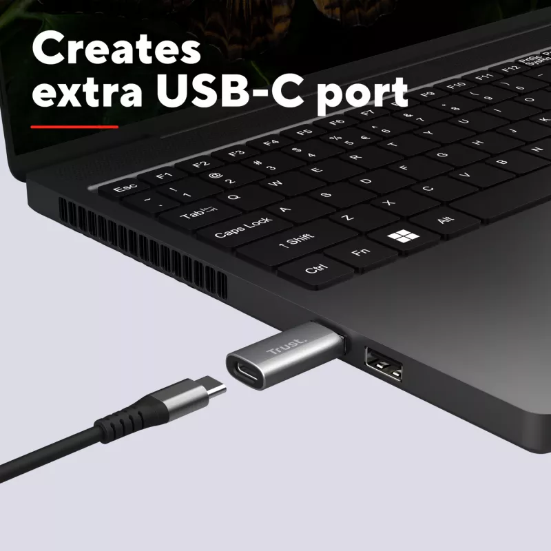 Trust Calyx USB Type-C USB Type-A Szary Złącze 1 USB Type-C Złącze 2 USB Type-A