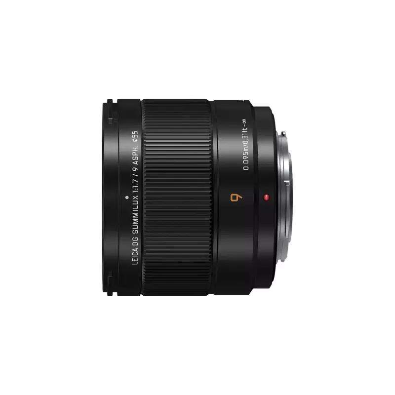 Ultra-szerokokątny obiektyw Panasonic H-X09 12 elementów 0.25x Czarny