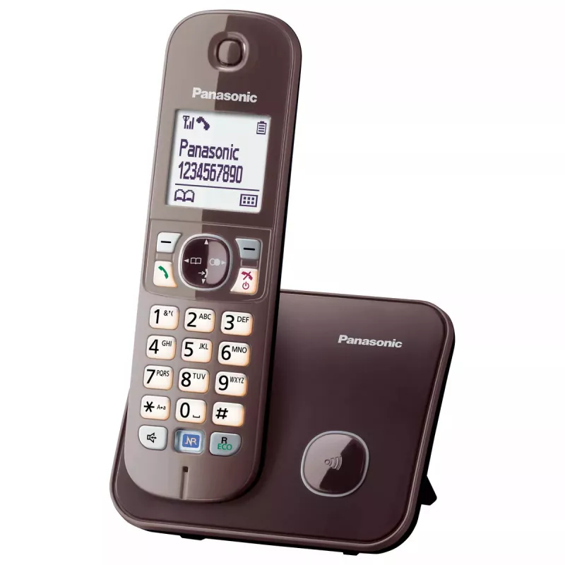 Telefon DECT Panasonic KX-TG6811GA