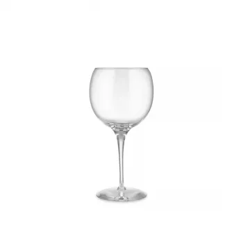 Kieliszek do wina Alessi SG119/0S4 elegancki design kryształowo czysty