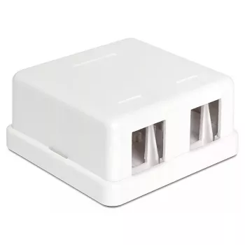 Łącznik przewodowy DeLOCK 86207 2x Keystone Biały