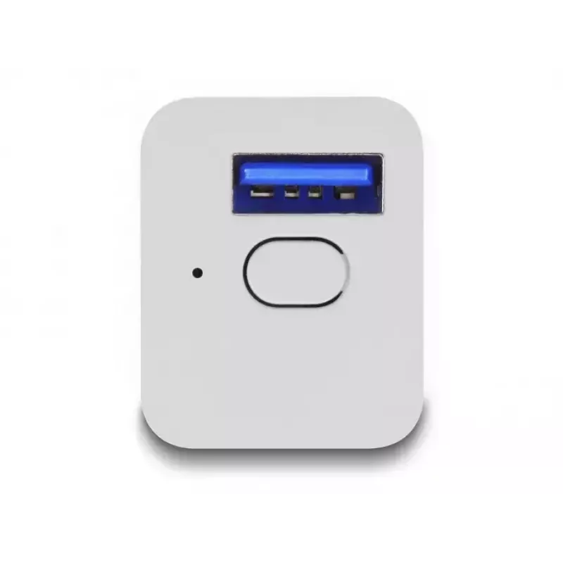Smart Plug DeLOCK 11828 Wewnętrzny Wi-Fi 2A Biały