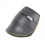 Mysz BakkerElkhuizen FastForward, praworęczna, konstrukcja pionowa, optyczna, RF Wireless + Bluetooth + USB Type-C, 500 DPI, szary