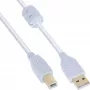 Kabel InLine USB 2.0 Typ A męski / B męski, pozłacany, z ferrytem, biały, 1m