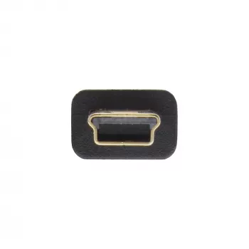 Kabel InLine USB 2.0 Mini, wtyk Typu A męski / mini-B męski (5pin), czarno-złoty, 1m