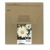Opakowanie Easy Mail Epson T1806 czarny żółty cyjan magenta